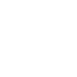 CommSys logo