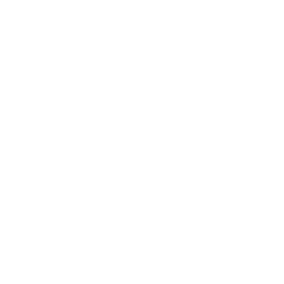 Viking Social Poker Club logo